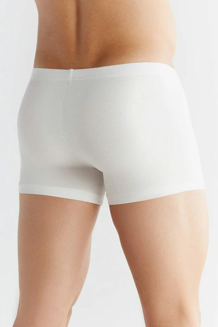 Heren boxer retroshort korte pijp natuur - Afbeelding 2