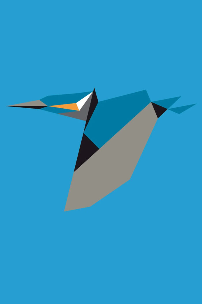 T-shirt met ijsvogel - Afbeelding 2