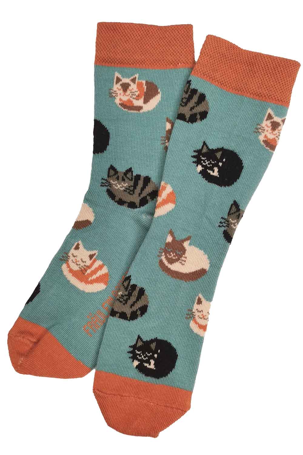 Blauwe sokken met katten