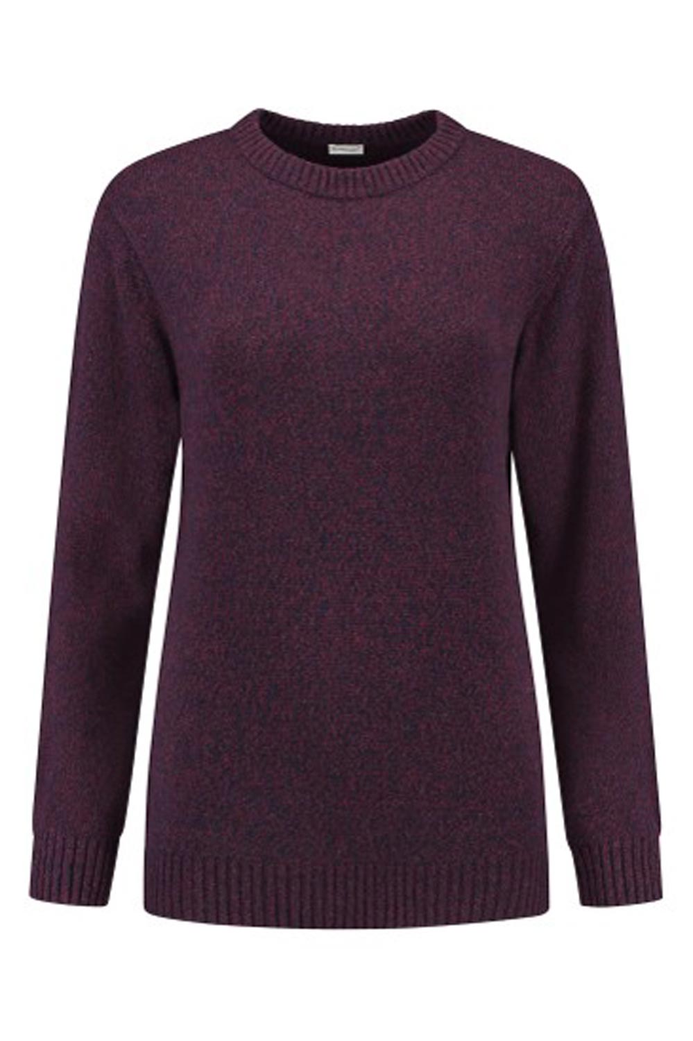Trui gerecycelde wol aubergine-blauw gemêleerd