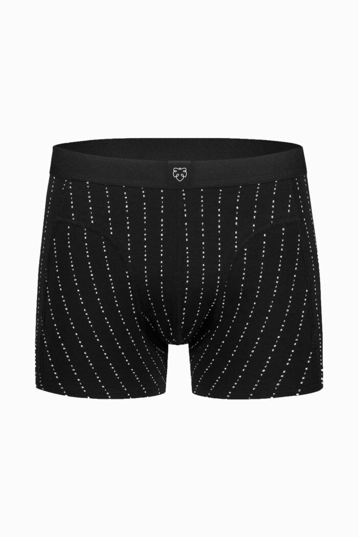 Boxershort Enjoy The Ride slogan